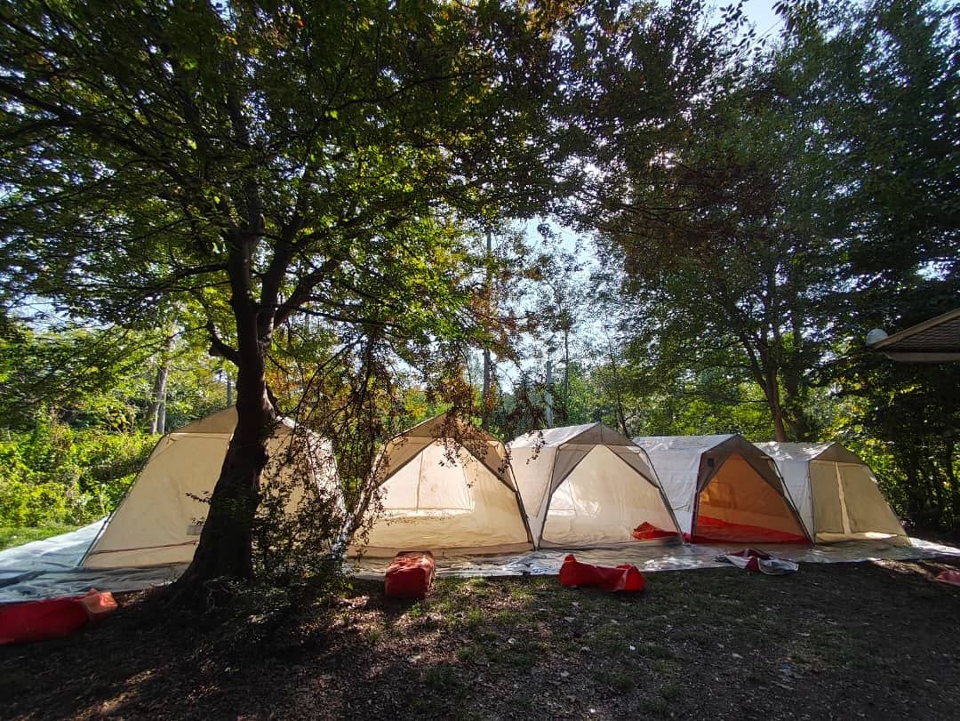 photo_2025-11-13_14-16-32