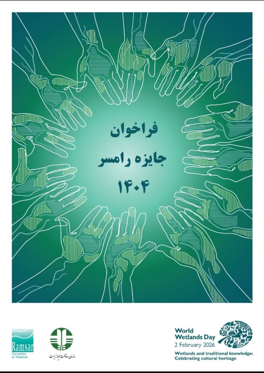 IMG_20251213_183801_484