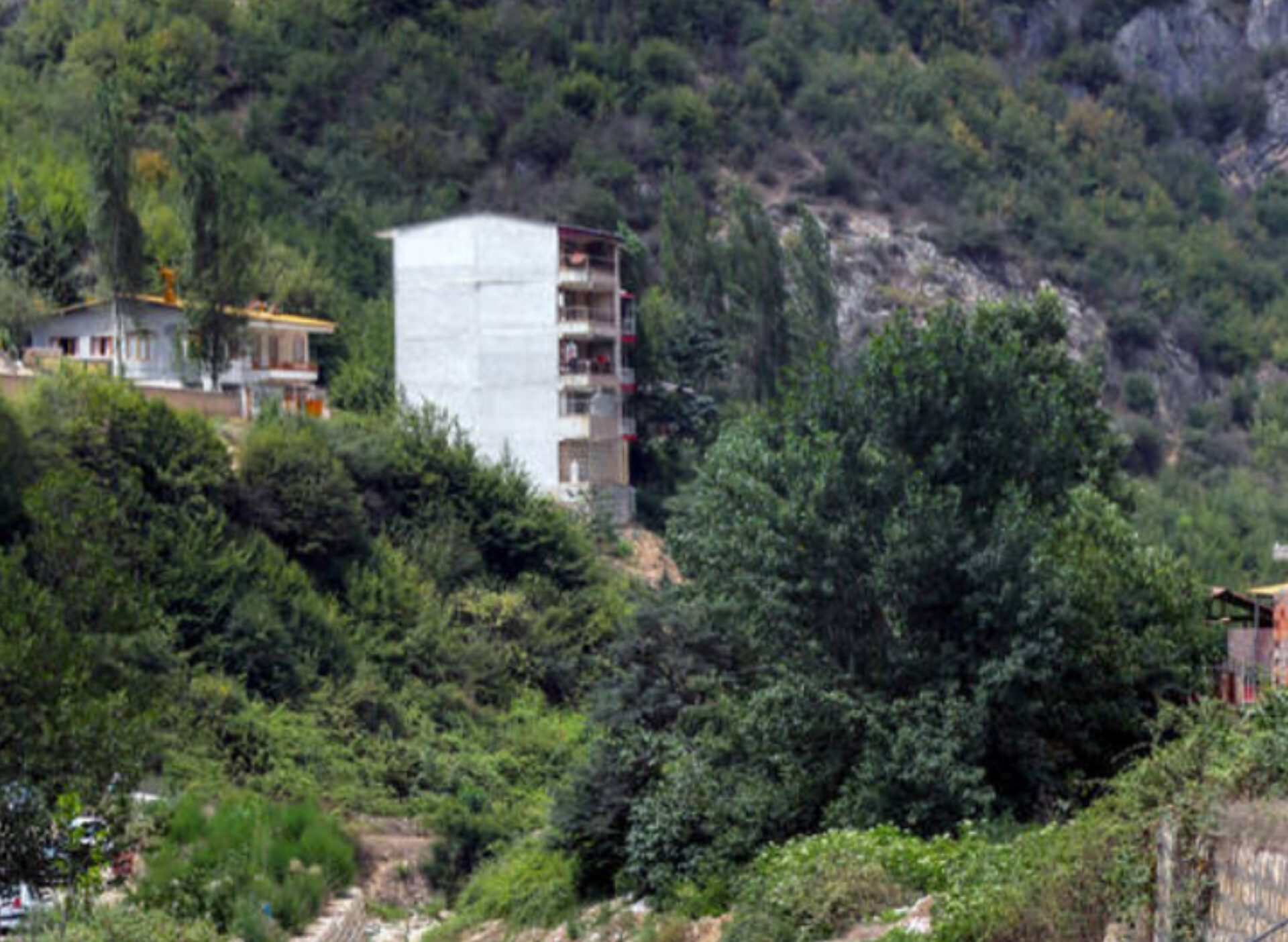 محیط زیست