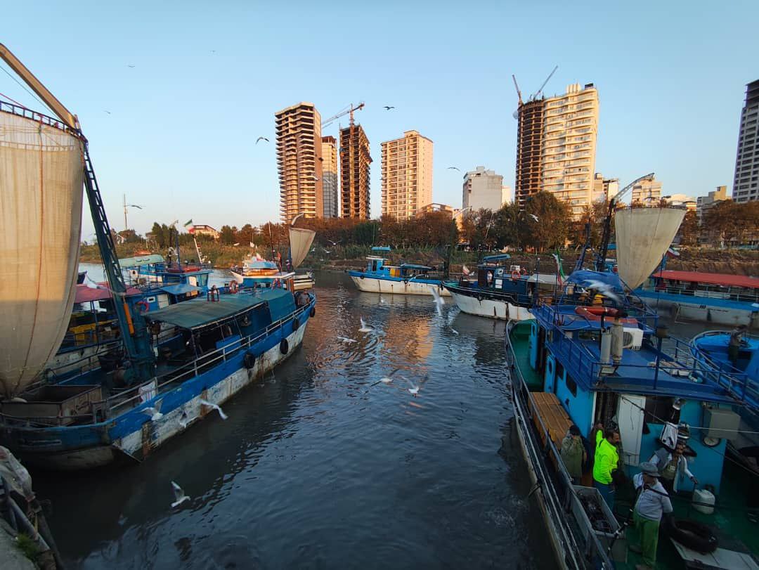 photo_2025-11-13_14-17-17