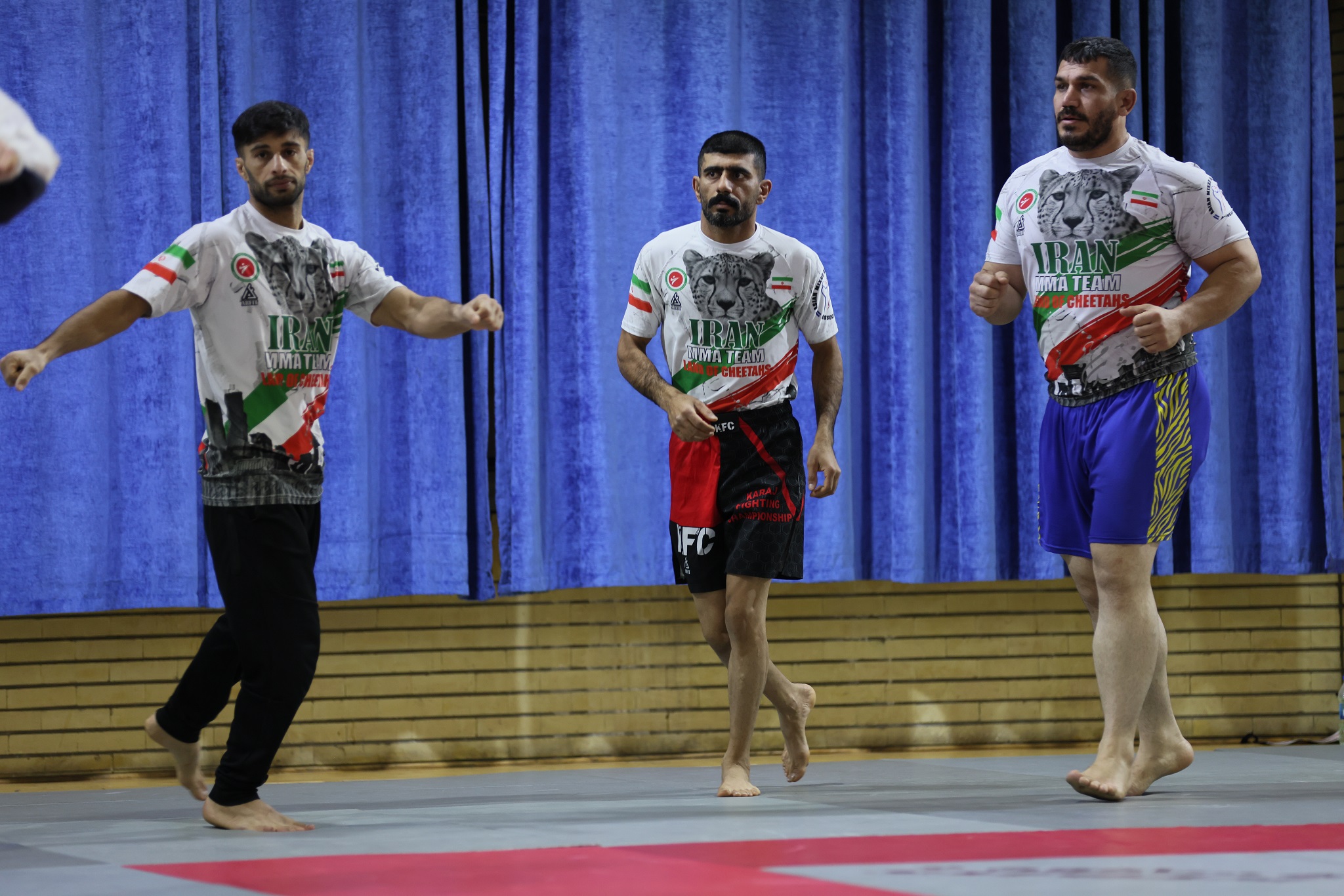 561fef0ab4dc97e0a081fbc504226b13