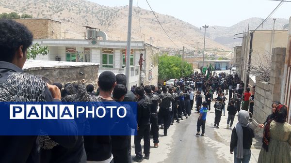 عزاداران حسینی، خیابان‌ها را غرق لبیک یا حسین کردند