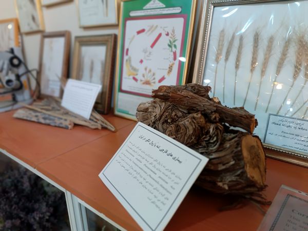 گام خبرنگاران در مسیر تنوع زیستی