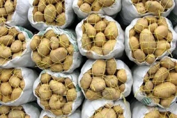 عرضه گسترده میوه و سیب‌زمینی توسط سازمان تعاون روستایی در سراسر کشور