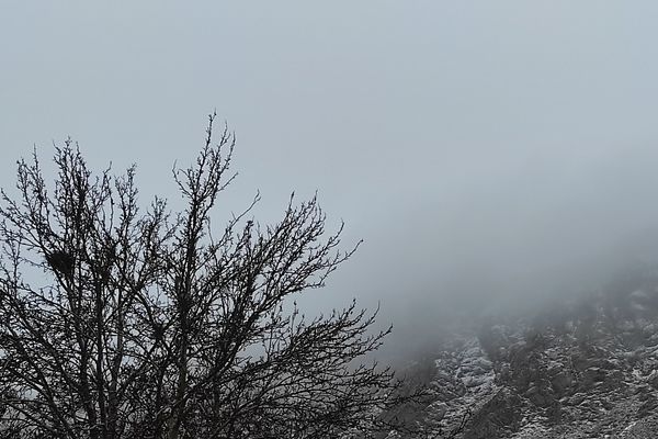 پیش‌بینی بارش باران و وزش باد در برخی نقاط کشور
