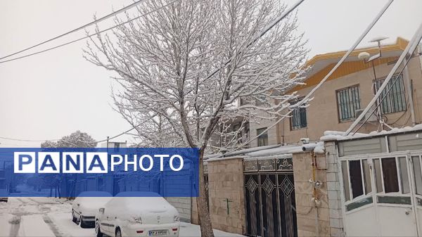 شازند سفیدپوش شد