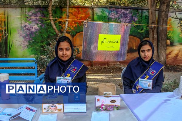 آیین بزرگداشت هفته بهداشت روان و انتخابات همیار مشاوران