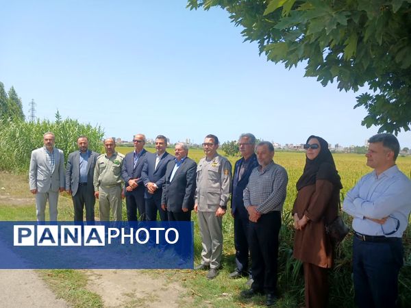 حضور معاون محیط‌ زیست دریایی و تالاب‌های سازمان حفاظت از محیط زیست در فریدونکنار
