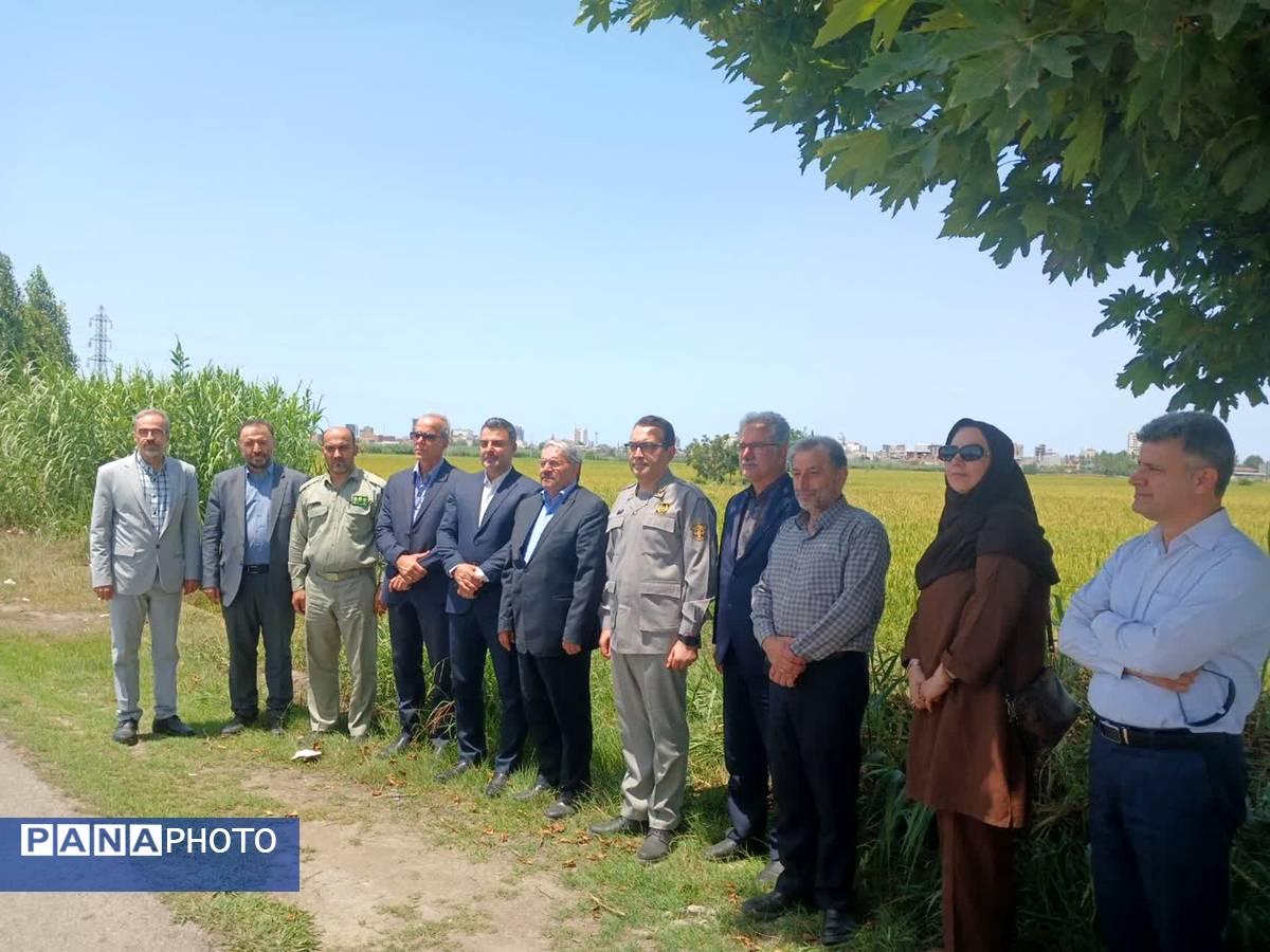حضور معاون محیط‌ زیست دریایی و تالاب‌های سازمان حفاظت از محیط زیست در فریدونکنار