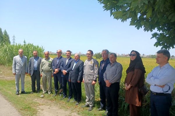 حضور معاون محیط‌ زیست دریایی و تالاب‌های سازمان حفاظت از محیط زیست در فریدونکنار