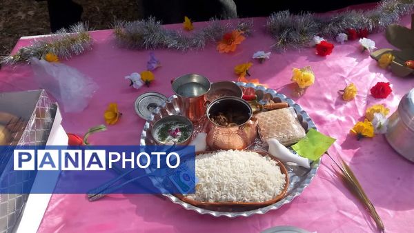 جشنی شاد و رنگین برای بانوان هنرمند شازند