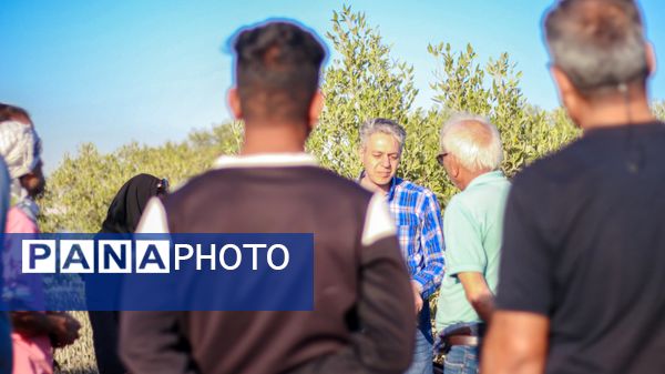 پاکسازی و کاشت نهال حرا در تالاب بندرخمیر
