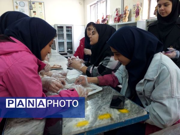 برگزاری کلاس آناتومی و تشریح مغز در پژوهش‌سرای بوعلی سینا ملارد