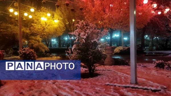 شبی برفی در نیشابور 