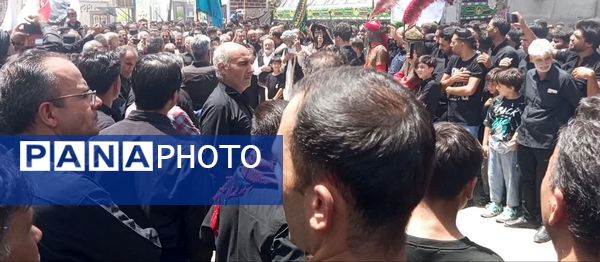 اجرای آیین کهن نخل‌گردانی و بیل‌زنی در روستای فدافن