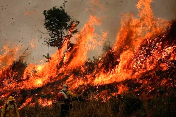 باز هم سهل انگاری و وقوع آتش سوزی در جنگل های ایلام