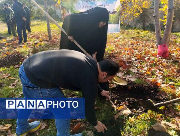 پویش سراسری کاشت نهال در سایه مادر همزمان با ایام ولادت حضرت زهرا (س) در میاندورود 