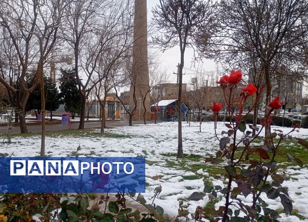 بارش برف در شهر زیبای مشهد 