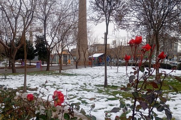 بارش برف در شهر زیبای مشهد 