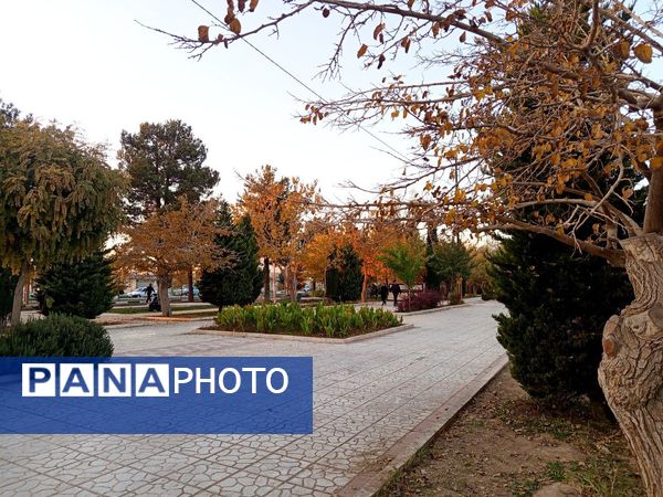 طبیعت زیبای کاشمر در پاییز