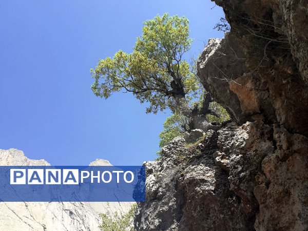 طبیعت بسیار خاص منطقه زیودار شهرستان معمولان
