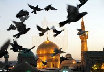 غریب الغربا