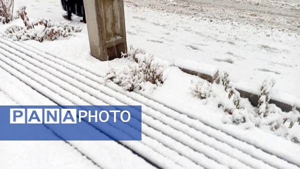 مارکده در آغوش سپیدی برف