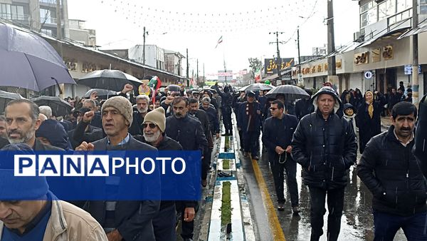 تجلی بصیرت ملی در محمودآباد 