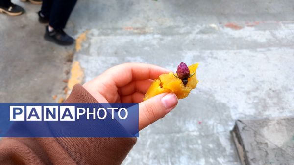 برپایی مراسم عزای فاطمی در مدرسه فاطمیه سیاهکل