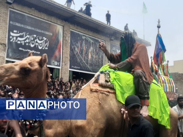 مراسم عزاداری روز عاشورا در میناب