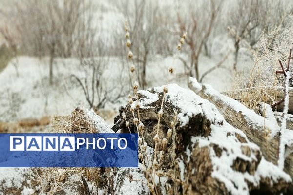 شروع اولین بارش برف زمستانی در بهمن ماه ۱۴۰۳ در شهر زیبای با‌ر