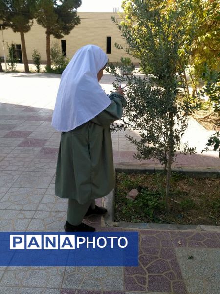 لمس طبیعت با حواس پنج‌گانه، سفری از شناخت تا شکرگزاری در هفته بهداشت روان