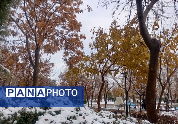 بارش برف در شهر زیبای مشهد 