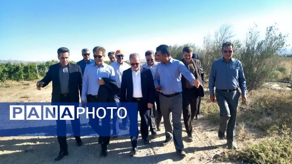 سفر معاون وزیر جهاد کشاورزی به کاشمر