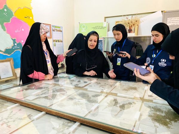 دانش آموزان خبرنگار، قهرمانان کشف دنیای گیاهان