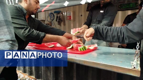 پیاده روی زائران امام رضا(ع) از ملک آباد تا مشهد 