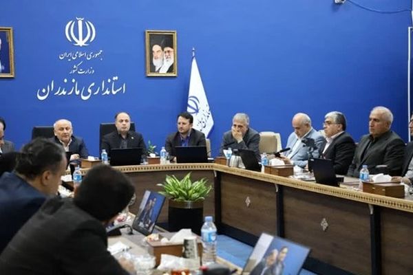 دستور ویژه وزیر جهادکشاورزی برای تامین کالاهای ضروری در  مازندران