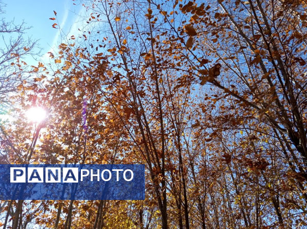 خزان زیبا در کوچه باغ‌های شهر بهمن