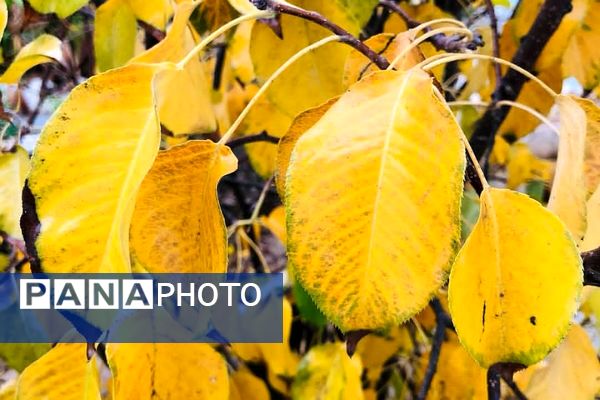 هرچه می‌گذرد، بیشتر به شبی سردتر و طولانی‌تر نزدیک می‌شویم