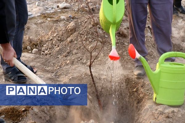 آیین روز درختکاری در هنرستان کشاورزی شهید باهنر پاکدشت 