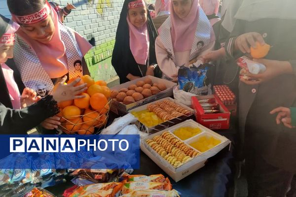 موکب فاطمی در دبستان مینوی خرد 