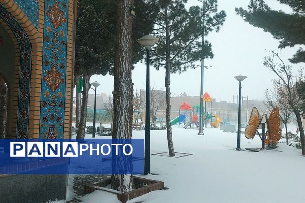 برف و بارانی همراه با شادی در شهرستان زاوه