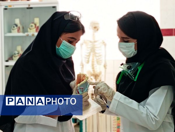 ۳۰ تیم دانشآموزی در مرحله استانی بیست و سومین دوره از مسابقات آزمایشگاهی به رقابت پرداختند