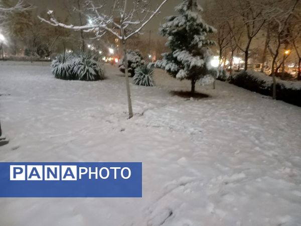 بارش برف در مشهد