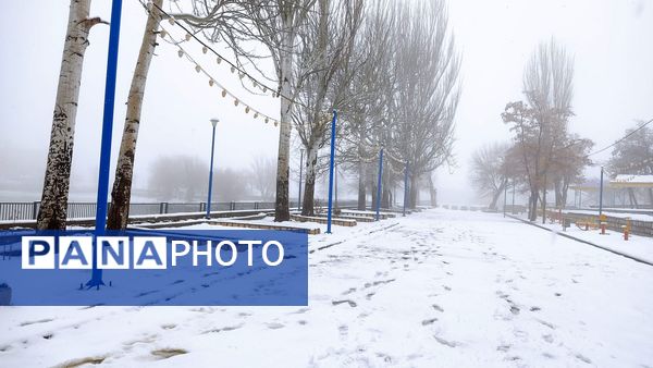 برف بی‌پایان، شهرستان بن را در آغوش سپیدی برد