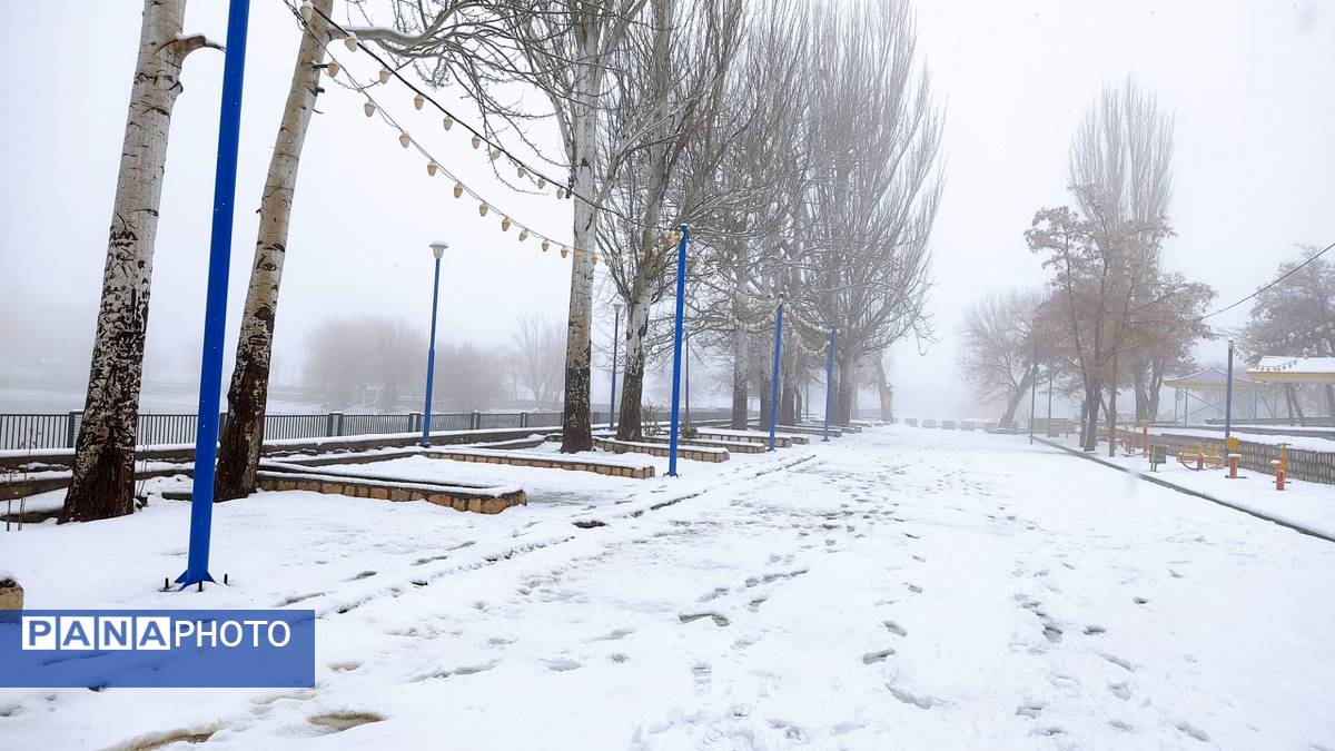 برف بی‌پایان، شهرستان بن را در آغوش سپیدی برد