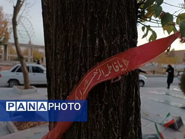 دختران شاهد فاطمه‌زهرا(س) در گلزار شهدا، قبور مطهر را به رنگ عشق آراستند