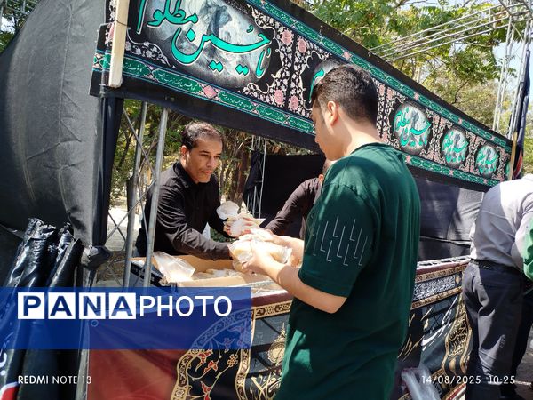 حماسه جاماندگان اربعین در محلات و نیم‌ور؛ تصاویری از عشق و ارادت