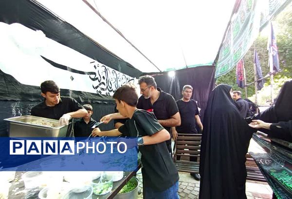 تجمع عاشقان حسینی در پیاده‌روی جاماندگان اربعین 