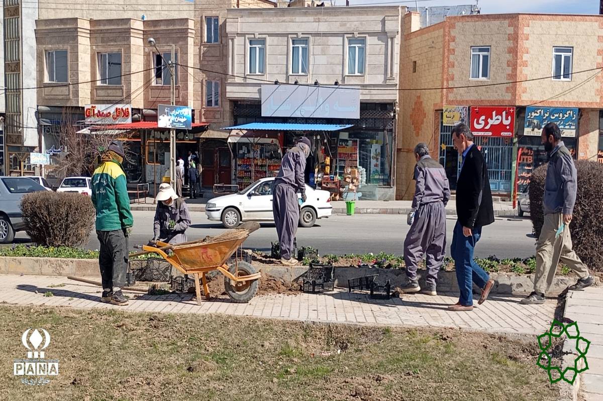 کاشت هزار گل بنفشه با دستان تلاشگران دهگلانی